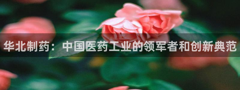 九游会老哥必备的交流社区：华北制药：中国医药工业的领军者和创新典范