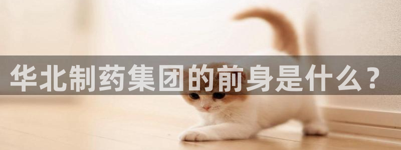九游会老哥俱乐部官网首页：华北制药集团的前身是什么？