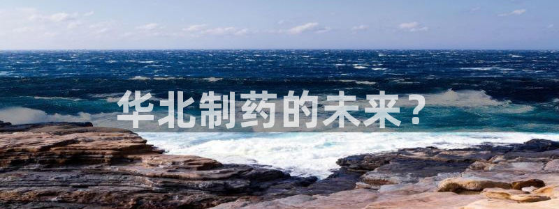 九游会老哥必备的交流社区九：华北制药的未来？