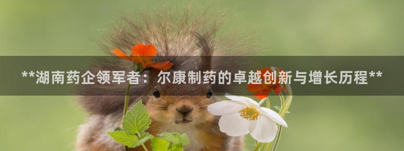ag九游会老哥：**湖南药企领军者：尔康制药的卓越创新与增长历程**