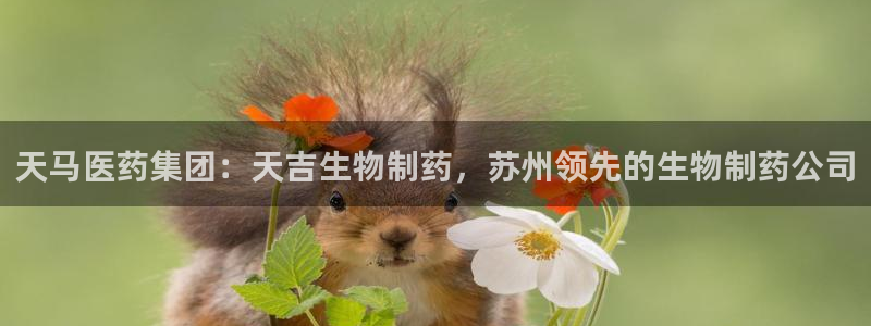 ag九游会老哥：天马医药集团：天吉生物制药，苏州领先的生物制药公司