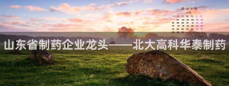 老哥吧九游会：山东省制药企业龙头——北大高科华泰制药