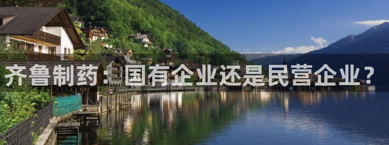 老哥吧九游会下架吗：齐鲁制药：国有企业还是民营企业？