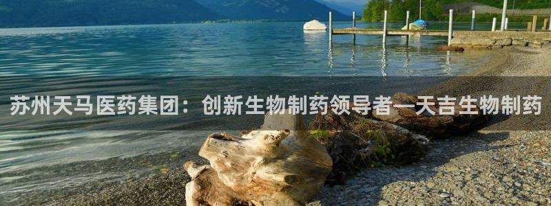 usdt九游会老哥俱乐部：苏州天马医药集团：创新生物制药领导者—天吉生物制药