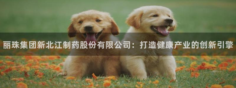 九游老哥俱乐部官网登录：丽珠集团新北江制药股份有限公司：打造健康产业的创新引擎