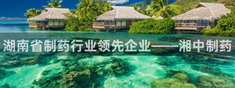 老哥俱乐部是干什么的：湖南省制药行业领先企业——湘中制药