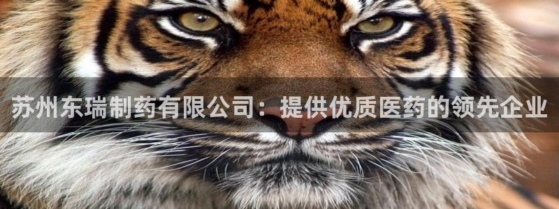 老哥吧九游会：苏州东瑞制药有限公司：提供优质医药的领先企业