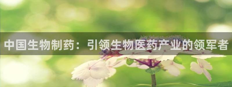 9游会老哥俱乐部：中国生物制药：引领生物医药产业的领军者