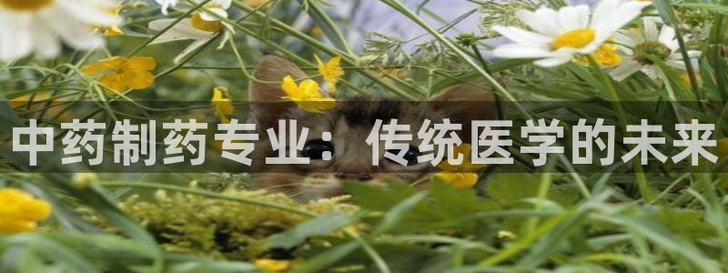 九游会老哥俱乐部官网首页论坛：中药制药专业：传统医学的未来