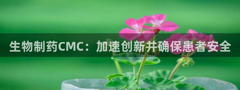 九游老哥俱乐部官网登录网址：生物制药CMC：加速创新并确保患者安全