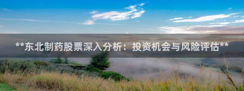 九游会老哥必备的交流社区：**东北制药股票深入分析：投资机会与风险评估**