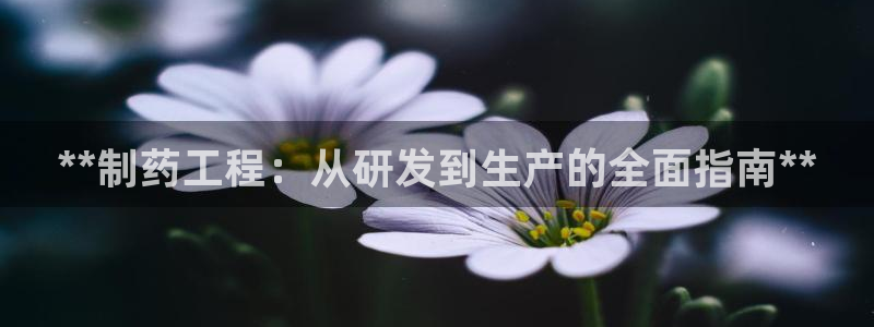 ag九游会老哥俱乐部：**制药工程：从研发到生产的全面指南**