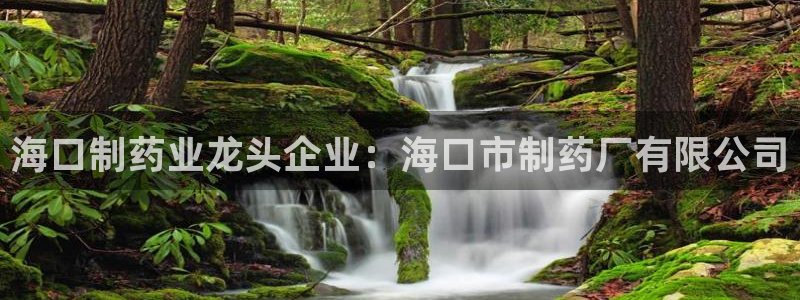 九游老哥俱乐部官网登录网址：海口制药业龙头企业：海口市制药厂有限公司