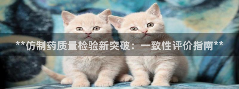 九游老哥俱乐部官网登录：**仿制药质量检验新突破：一致性评价指南**