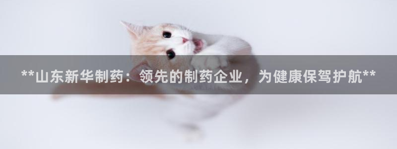ag九游会老哥：**山东新华制药：领先的制药企业，为健康保驾护航**