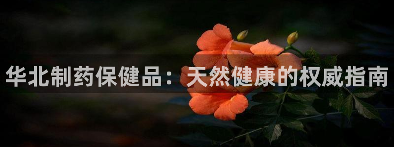 九游会老哥俱乐部论坛版：华北制药保健品：天然健康的权威指南