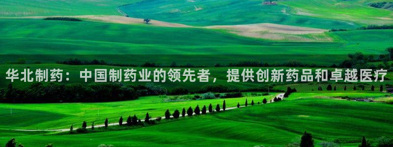 九游会老哥俱乐部交流社区：华北制药：中国制药业的领先者，提供创新药品和卓越医疗