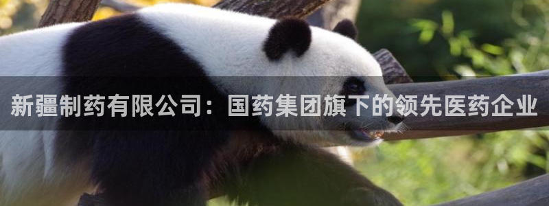 九游会老哥：新疆制药有限公司：国药集团旗下的领先医药企业
