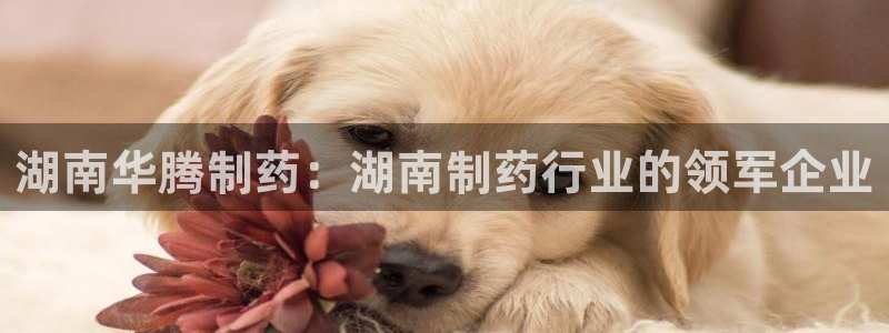 九游会老哥：湖南华腾制药：湖南制药行业的领军企业