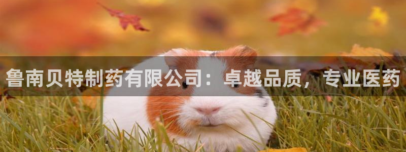 九游会老哥俱乐部论坛版：鲁南贝特制药有限公司：卓越品质，专业医药