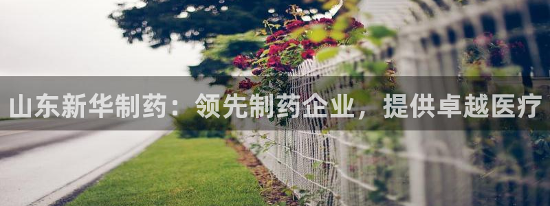 九游老哥俱乐部官网登录不了：山东新华制药：领先制药企业，提供卓越医疗