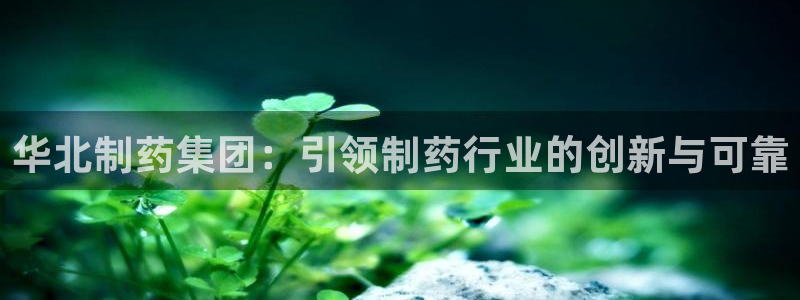 九游会老哥必备的交流社区九：华北制药集团：引领制药行业的创新与可靠