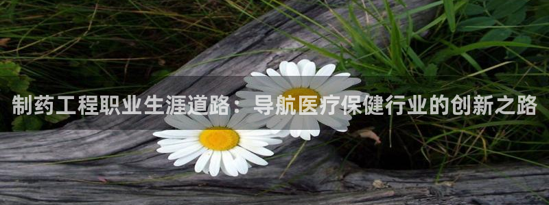 ag九游老哥俱乐部：制药工程职业生涯道路：导航医疗保健行业的创新之路