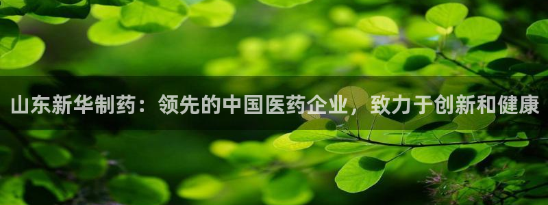 9游会老哥：山东新华制药：领先的中国医药企业，致力于创新和健康