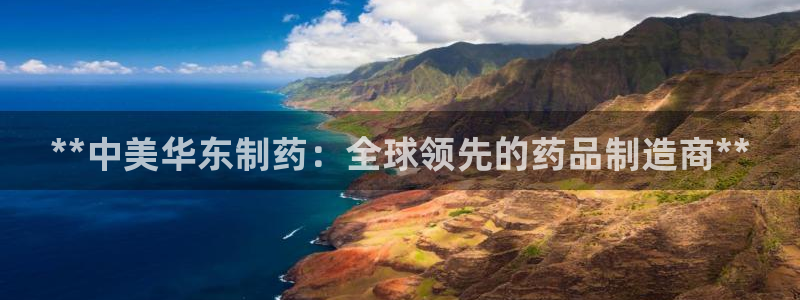 j9九游会老哥俱乐部交流区：**中美华东制药：全球领先的药品制造商**