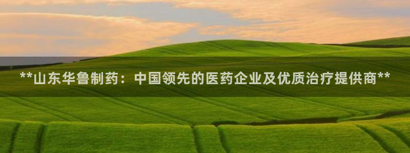 九游老哥俱乐部官网登录不了：**山东华鲁制药：中国领先的医药企业及优质治疗提供商**