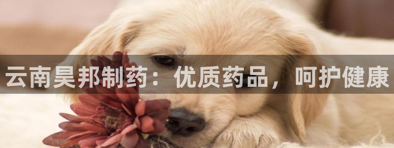 ag九游会老哥俱乐部：云南昊邦制药：优质药品，呵护健康