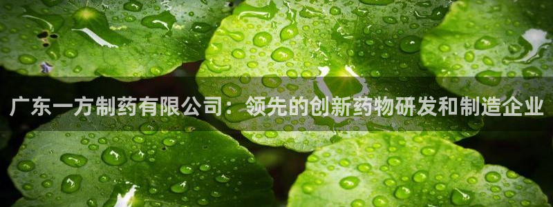 九游老哥俱乐部官网登录不了：广东一方制药有限公司：领先的创新药物研发和制造企业
