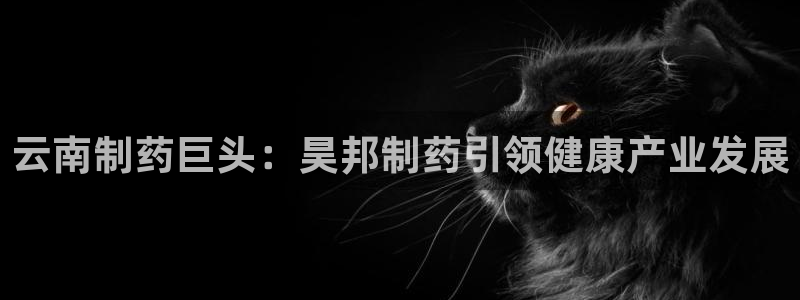 老哥吧九游会：云南制药巨头：昊邦制药引领健康产业发展