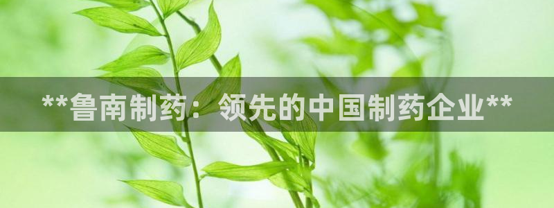 九游老哥俱乐部官网登录入口：**鲁南制药：领先的中国制药企业**