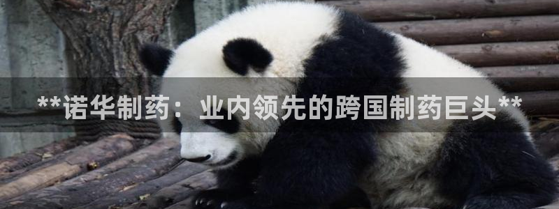 老哥俱乐部是干什么的：**诺华制药：业内领先的跨国制药巨头**