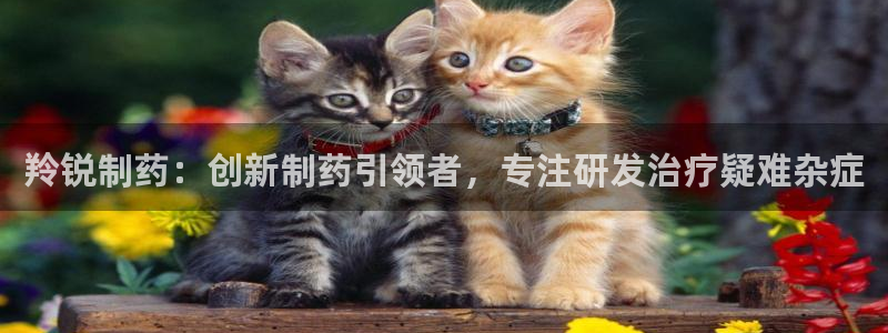 九游老哥俱乐部登录：羚锐制药：创新制药引领者，专注研发治疗疑难杂症
