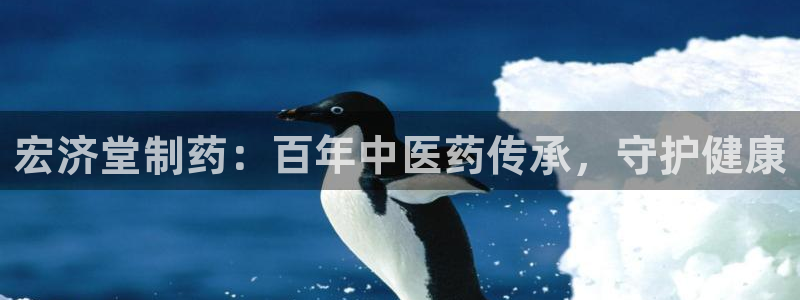 j9九游会老哥俱乐部交流区：宏济堂制药：百年中医药传承，守护健康