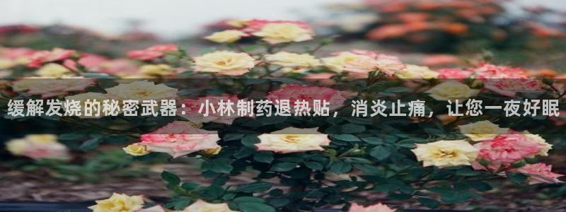 ag九游老哥俱乐部：缓解发烧的秘密武器：小林制药退热贴，消炎止痛，让您一夜好眠