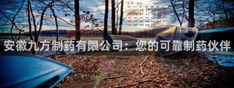 老哥吧九游会：安徽九方制药有限公司：您的可靠制药伙伴
