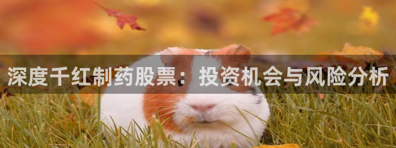 九游会老哥俱乐部：深度千红制药股票：投资机会与风险分析