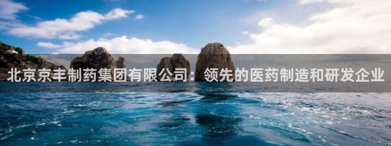 ag九游老哥俱乐部：北京京丰制药集团有限公司：领先的医药制造和研发企业