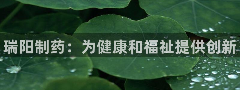 九游会老哥必备的交流社区九：瑞阳制药：为健康和福祉提供创新