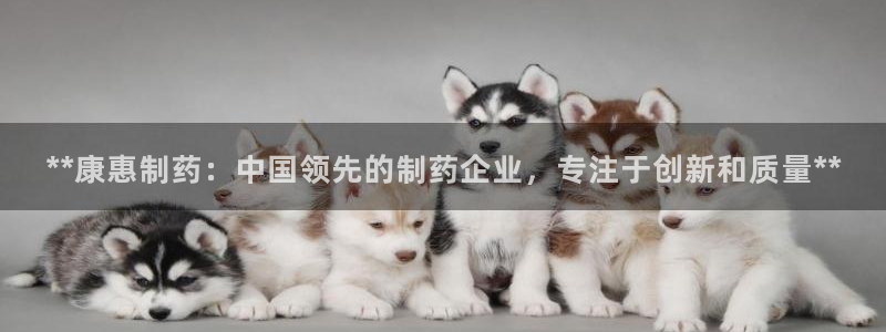 九游会老哥俱乐部官网：**康惠制药：中国领先的制药企业，专注于创新和质量**