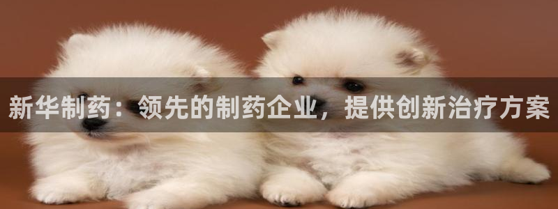 九游老哥俱乐部官网登录入口：新华制药：领先的制药企业，提供创新治疗方案