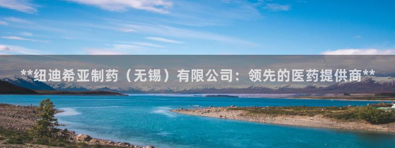 9游会老哥：**纽迪希亚制药（无锡）有限公司：领先的医药提供商**
