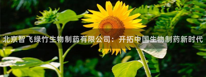 ag九游老哥俱乐部：北京智飞绿竹生物制药有限公司：开拓中国生物制药新时代