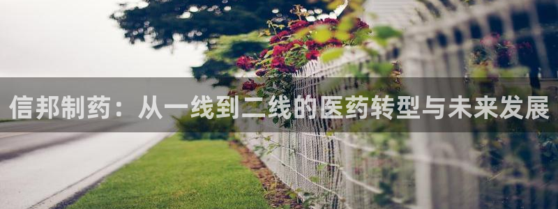 老哥吧九游会：信邦制药：从一线到二线的医药转型与未来发展