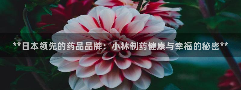 ag九游会老哥：**日本领先的药品品牌：小林制药健康与幸福的秘密**