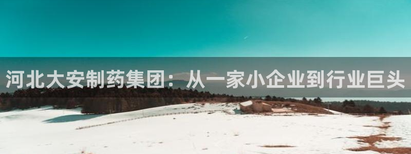 九游会老哥俱乐部官网：河北大安制药集团：从一家小企业到行业巨头