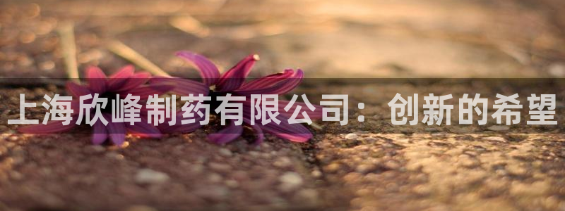 九游会老哥必备的交流社区九：上海欣峰制药有限公司：创新的希望
